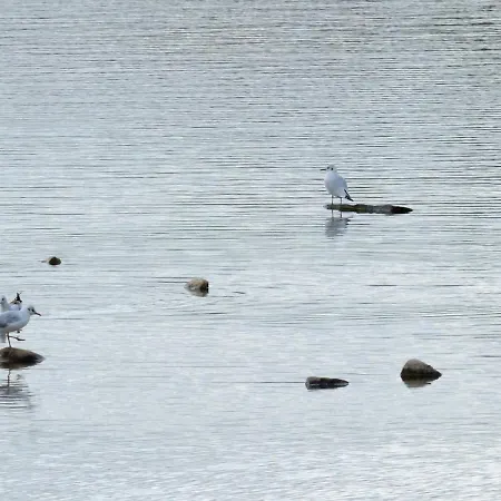 La Ravine Au Bord Du Loing